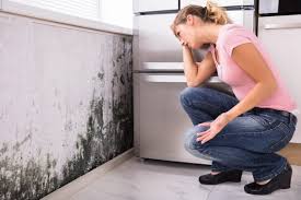 Why You Should Choose Our Mold Remediation Services in Caney, KS